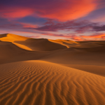 Bayonne, journée mémorielle du 28 mars 2025